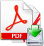 Icono descarga pdf